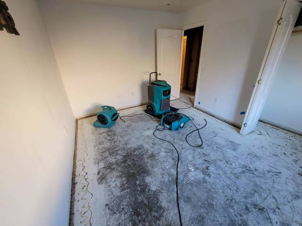 Best 24-hour water damage restoration  in Skyline, AL