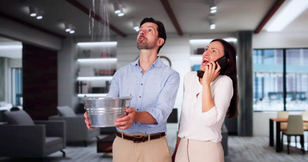 Best Water damage contractors near me  in Skyline, AL