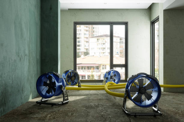 Best 24/7 water damage repair  in Skyline, AL